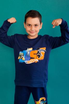Детский свитшот для мальчика 22756 Hot Wheels