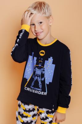 Детский свитшот для мальчика 22735