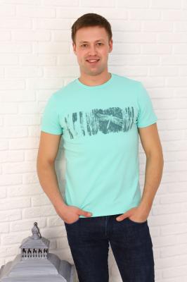 Мужская футболка 24322