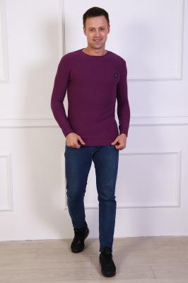 Мужской джемпер без воротника 31649