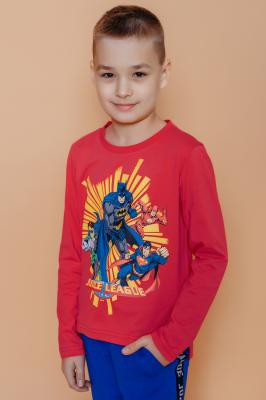Детский лонгслив для мальчика 22742