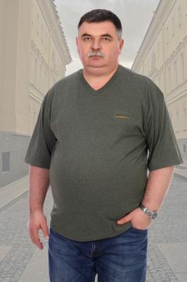 Мужская футболка 1846