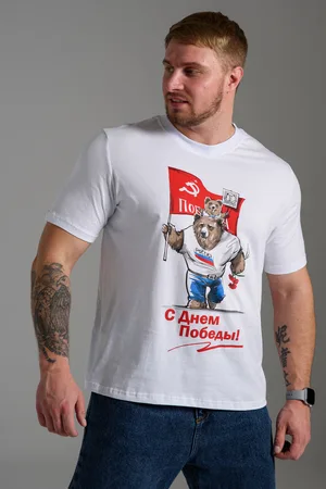 Мужская футболка 8547
