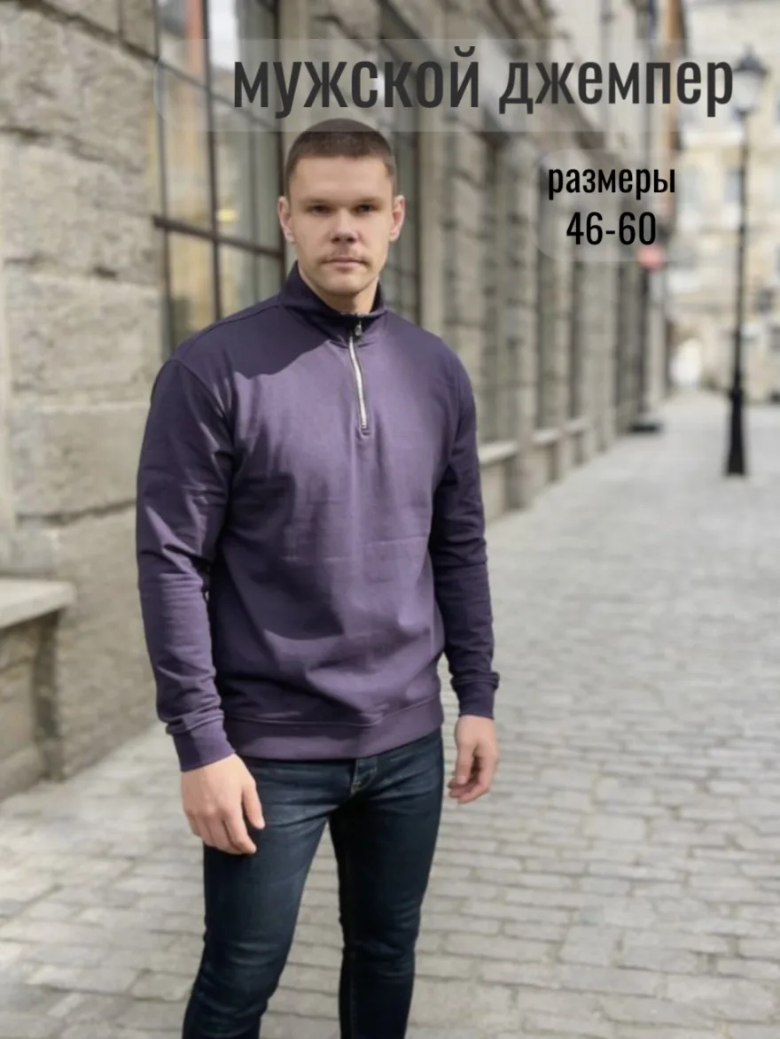 Мужской джемпер 52723