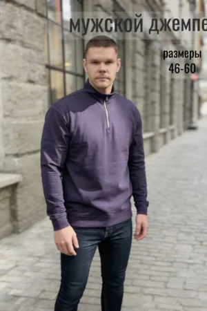 Мужской джемпер 52723