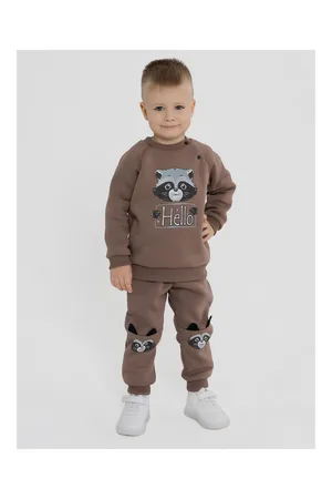 Детская толстовка для мальчика футер начёс Енот 10903